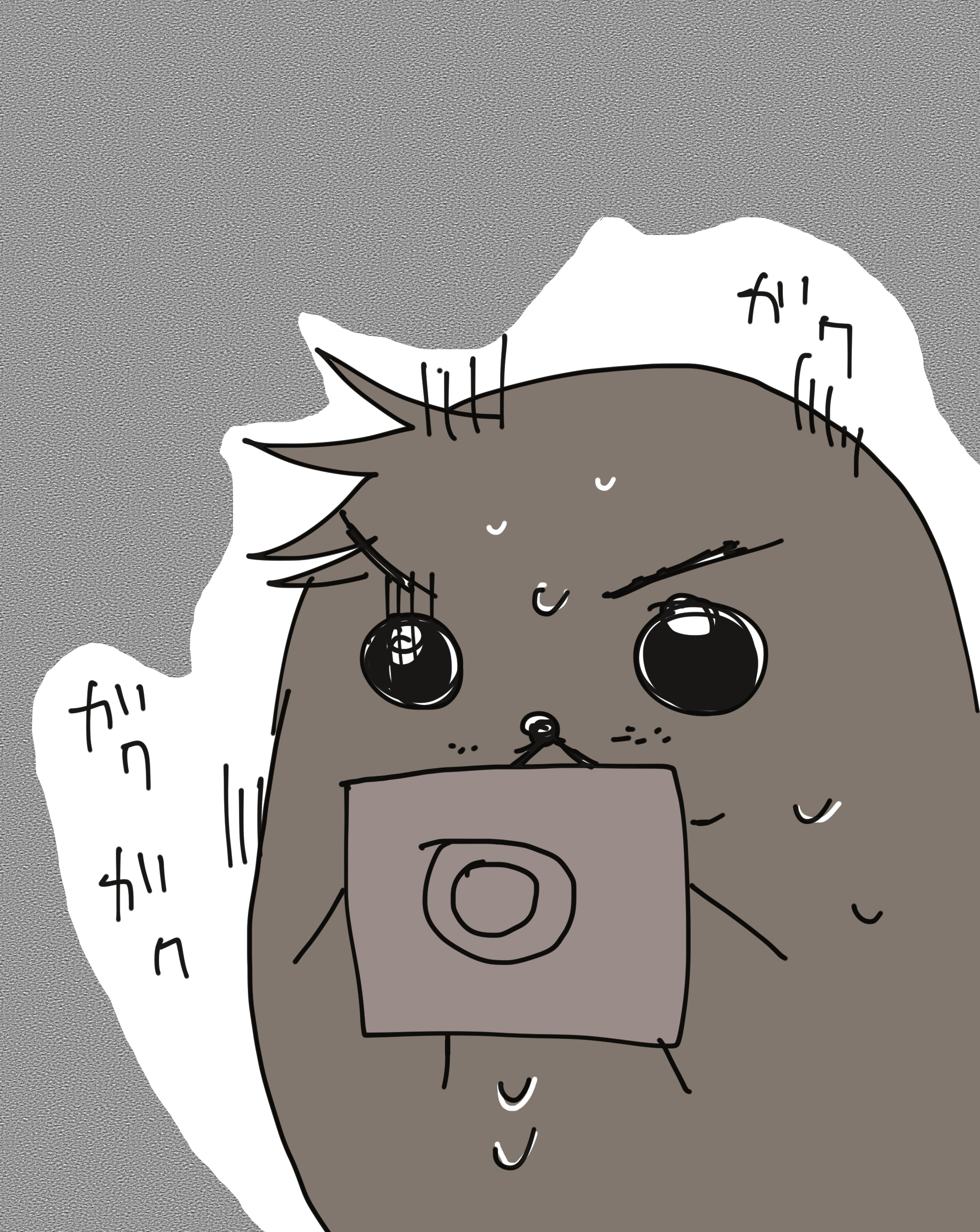 アザラシ1