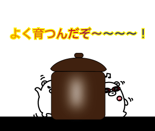 ぬか漬け39