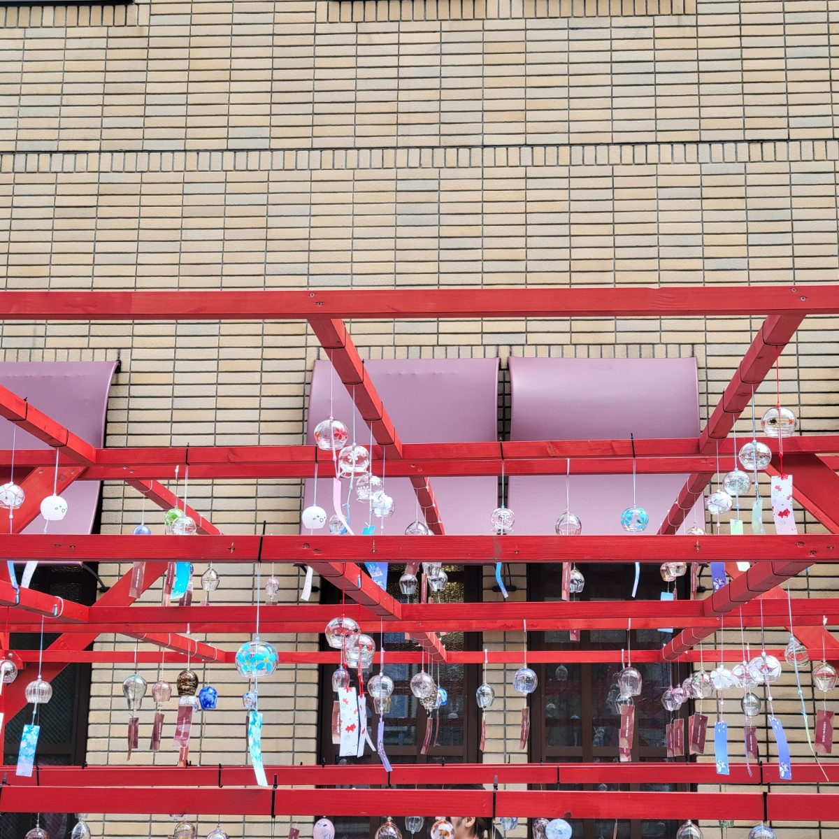 Photo_24-08-07-13-03-20.595